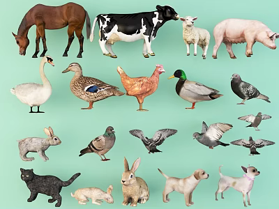 Modern Animal Poultry 3d model Modern Animal Poultry 3d model