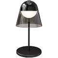 Modern Table Lamp Featuring Transparent Shade And Black Sleek Base Design 3d model