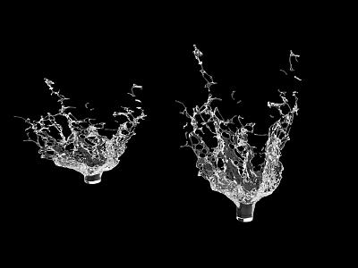 Artistic Garden Ornaments Featuring Water Splashes In Black And White Style 3d model
