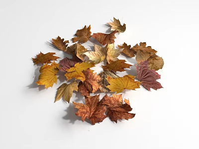 Colorful Autumn Leaves As Natural Ground Cover With Vibrant Red Yellow And Orange Tones 3d model