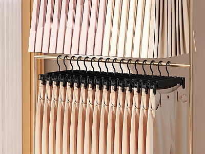 Pastel Colored Clothes Hanging On Black Hangers In Organized Wardrobe Interior Design 3d model