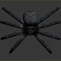 Detailed Blue And Red Spider With Long Legs 3D Sculptural Model On Gray Background