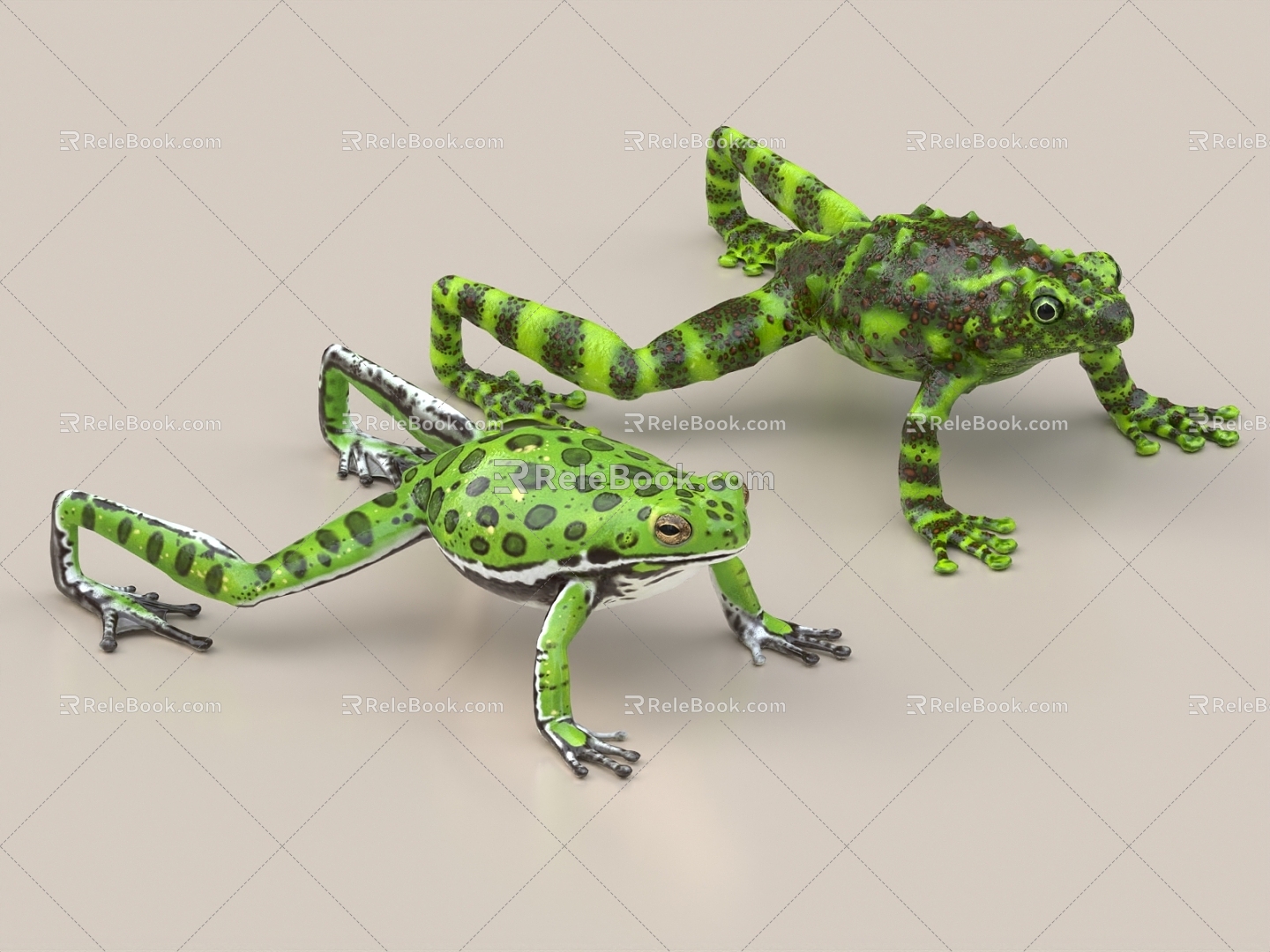 Frog Frog Frog Rana Frog Arrow Poison Frog Horn Frog Claw Frog 3d model