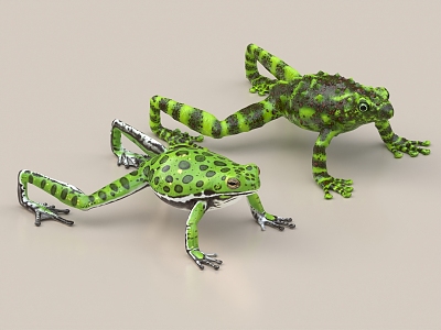 Frog Rana Frog Arrow Poison Frog Horn Frog Claw Frog 3d model