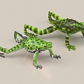 Frog Frog Frog Rana Frog Arrow Poison Frog Horn Frog Claw Frog 3d model