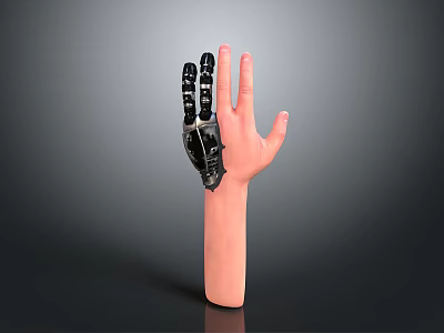 Realistic Mechanical And Natural Hand Combination As Daily Life Product With Comfortable Grip Design 3d model