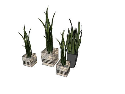 Various Bonsai Potted Plants With Slender Leaves In Square Decorative Pots 3d model