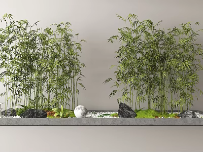 Bamboo Plants In Minimalist Garden With Rocks Moss And Pebbles 3d model