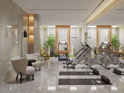 Modern Fitness Entertainment Room Interior With Exercise Equipment Yoga Mats And Green Plants 3d model