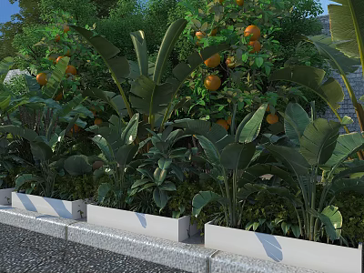 Lush Tropical Garden Landscape With Orange Trees Banana Plants And Green Planter Boxes 3d model