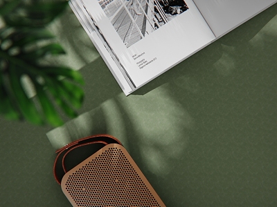 leaf book radio speaker model