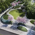 Scenic Urban Park Landscape With Cherry Trees Green Lawns Curved Paths And White Buildings