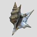 Conch Shell With Spiral Shape And Textured Surface On White Background 3d model