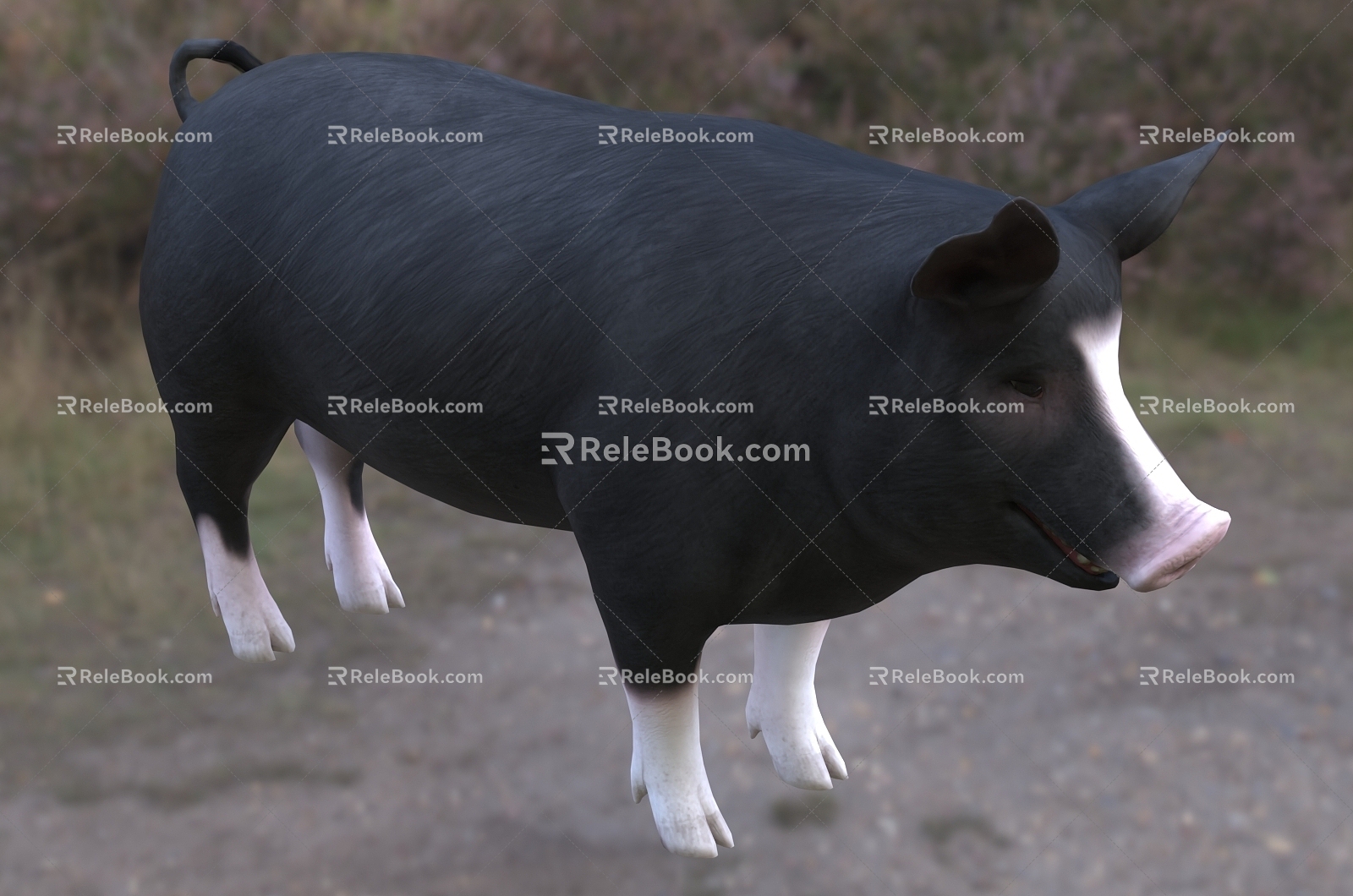 Modern Buckshire Pig Animal Creatures 3d model