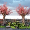 Plant Combination With Red Flowering Trees Green Foliage Stone Wall And Fountain