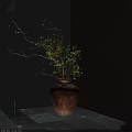 Rustic Terracotta Vase With Green Foliage And Dried Branches On Gray Tabletop Against Dark Walls