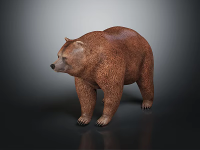 Detailed 3D Brown Bear Model in Standing Position with Brown Fur and Dark Background 3d model