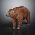 Detailed 3D Brown Bear Model in Standing Position with Brown Fur and Dark Background