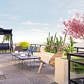 Rooftop Garden Outdoor Living Space With Pink Flowering Tree Blue Pergola And Patio Furniture