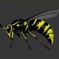 Detailed Black and Yellow Wasp with Transparent Wings and Yellow Legs