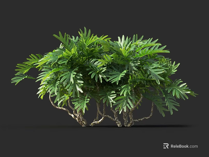 Green Plant With Lush Leaves And Curved Trunks On Dark Background 3d model 