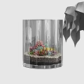 Colorful Succulent Plants Arrangement In Transparent Glass Container With Small Pebbles