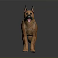 Detailed Realistic German Shepherd Dog Sculpture Carved With Lifelike Standing Pose