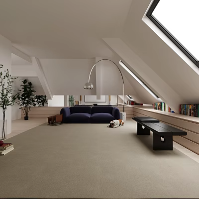 Modern Attic Entertainment Room With Sofa And Bookshelves 3d model