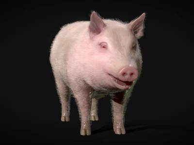 The Modern Pig 3d model The Modern Pig 3d model