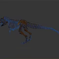 Modern skeleton dinosaur skeleton dinosaur fossil 3d model