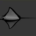 Black Manta Ray Aquatic Animal Swimming In Deep Ocean With Streamlined Body
