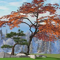 red maple tree maple leaf 3d model