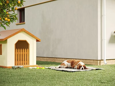 Cozy Residential Building Exterior With Wooden Dog House Dog Lying On Grass And Orange Tree 3d model