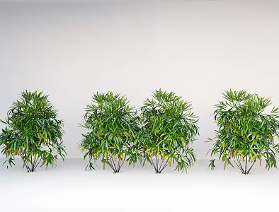 Sunflower Bamboo Shrub Green Planting Flowers and Plants 3d model