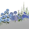 Vibrant Blue And Purple Flowers With Green Foliage Fresh Floral Plant