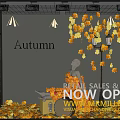 Modern Window Maple Window Display 3d model