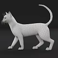 Modern Multiplayer Cat Rig Skin Wool 3d model