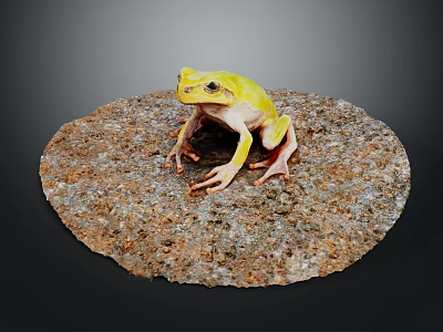 Vibrant Yellow Frog Sitting On Textured Rock Against Gray Background 3d model