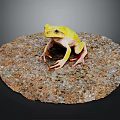 Vibrant Yellow Frog Sitting On Textured Rock Against Gray Background 3d model