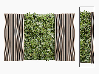 Modern Plant Wall 3d model