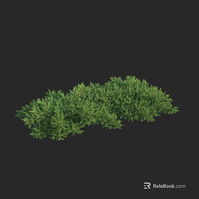 Lush Green Shrub With Dense Foliage And Vibrant Evergreen Leaves 3d model 