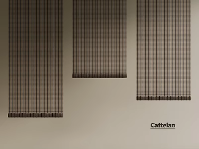 Cattelan Vertical Striped Brown Blinds With Modern Design For Home Decor 3d model
