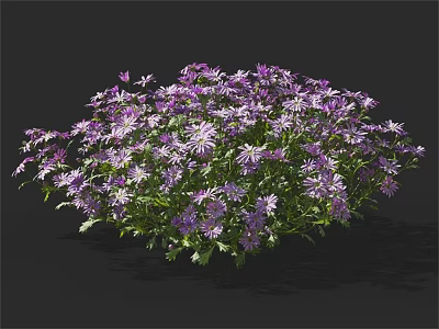 Vibrant Purple Small Flowers With Green Leaves Forming Beautiful Blooming Cluster 3d model