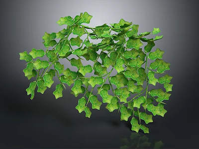 Lush Green Ivy Plant With Vibrant Leaves And Cascading Branches 3d model