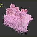 Red Coral Mushrooms With Flower Shaped Structure On Natural Stone Base