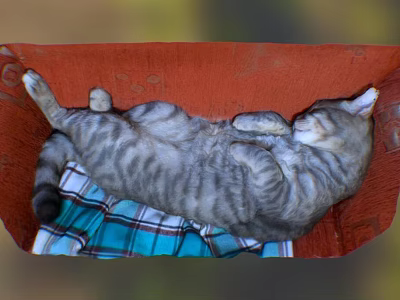 Modern Cat Cat 3d model