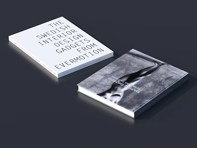 Two Notebooks With Smooth Interior Design For Gadgets And Artistic Photo Cover 3d model