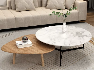 Beige Sofa With Pillows And Marble Wooden Coffee Table Set Featuring Green Plants On Rug 3d model