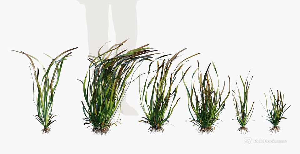 Different Sizes of Green Herb Plants With Soil Covered Roots Showcasing Growth Stages 3d model 