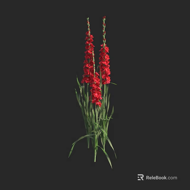 Vibrant Red Flowers With Green Leaves And Tall Stems On Black Background 3d model 